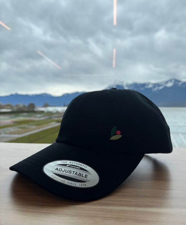 Classic Ball Cap