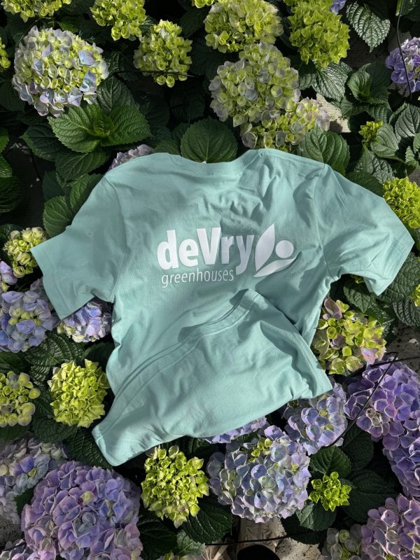 Dusty Blue T-Shirt - Image 2